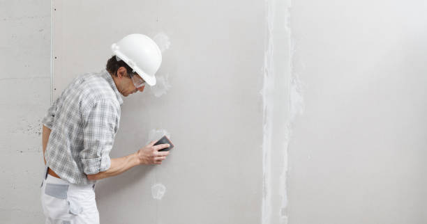 Best Post-Construction Mold Inspection  in Galesburg, IL