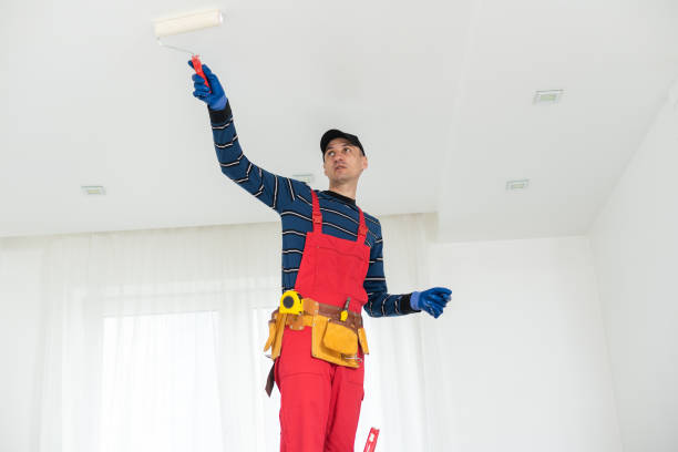 Best Airborne Mold Testing  in Galesburg, IL