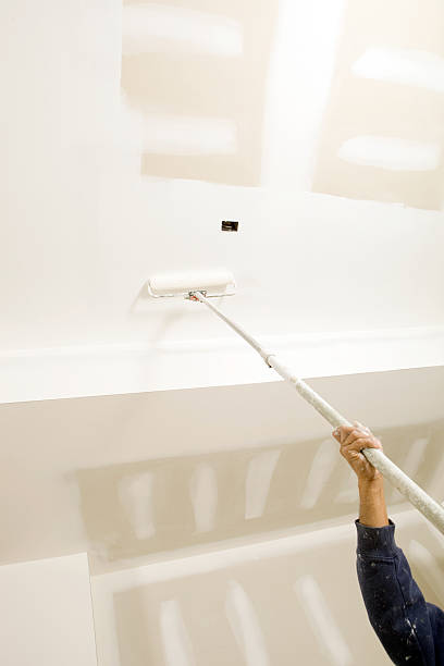Best Biohazard Mold Removal  in Galesburg, IL
