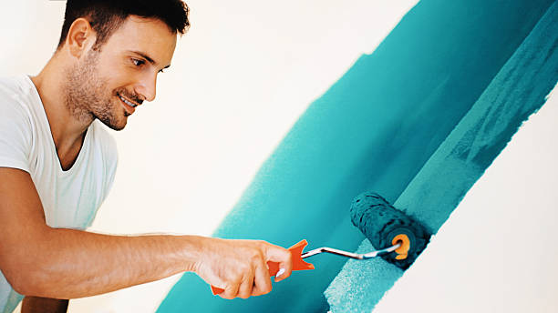 Best Mold-Related Health Consultation  in Galesburg, IL