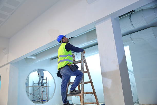 Best Environmental Consulting for Mold Prevention  in Galesburg, IL
