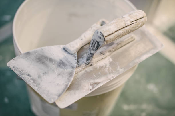 Reliable Galesburg, IL Mold Removal Solutions